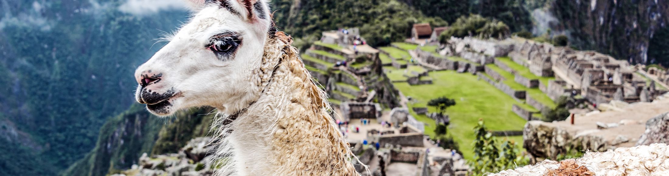 Machu Picchu 8D7N Viajero (Full Cultural) desde Ecuador